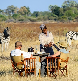 Safari